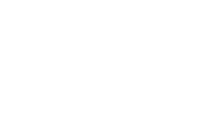 Partner Microsoft